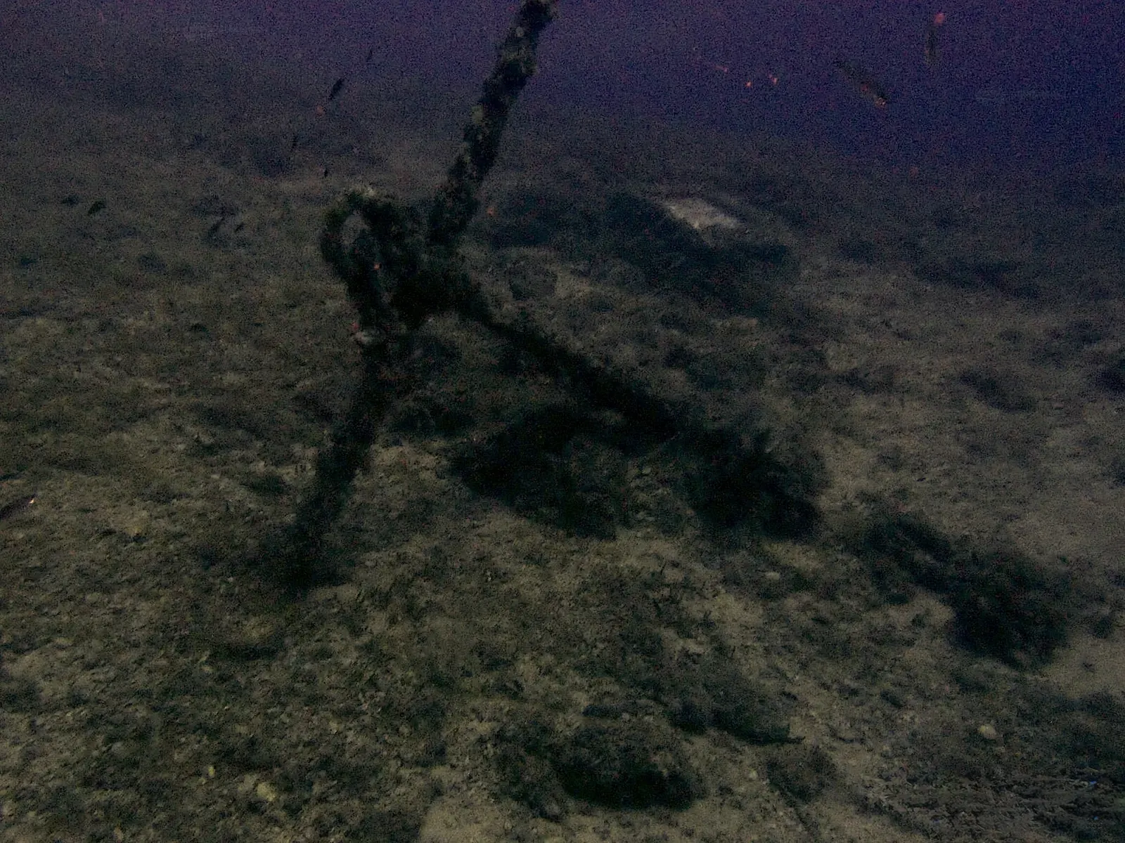 Scoglietto – Elba